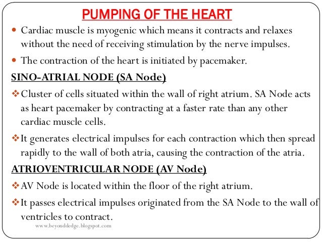 Cardiac Cycle Pdf